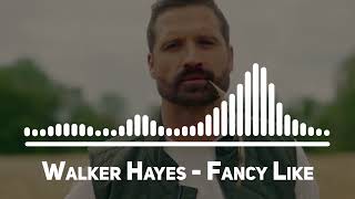 Walker Hayes Fancy Like Top Song [upl. by Celka898]