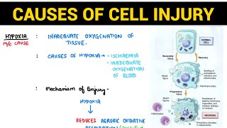 Cell Injury 12  Causes of Cell Injury  Pathology  EOMS [upl. by Clabo]