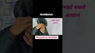 Nucleolus neet biology trending video viralvideo viralshorts education love school [upl. by Gaul261]