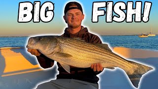 Jigging For ROCKFISH On The CHESAPEAKE BAY Fall Fishing Rocktober [upl. by Annabella]