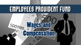 13 Employees Provident Fund amp Miscellaneous Provisions Act1952  Wages and Compensation  HR [upl. by Cozmo]