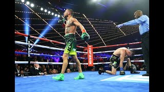 Vasyl Lomachenko VS Jose Pedraza HIGHLIGHTS KNOCKDOWN [upl. by Gough]