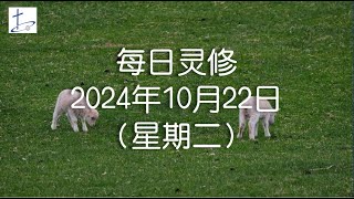 每日灵修2024年10月22日（星期二）腓立比书3章3至6节 English translation in description box [upl. by Rehtse]