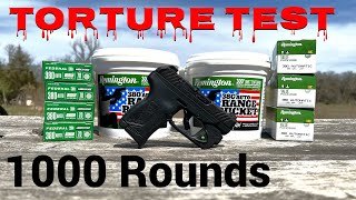 Ruger LCP MAX 380 1000 rd TORTURE TEST [upl. by Brey671]