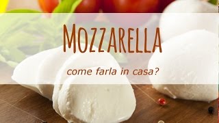 Come fare la mozzarella in casa [upl. by Izabel912]