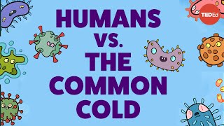 Why is it so hard to cure the common cold [upl. by Jobe]