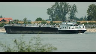 120 Shipspotting Binnenschiffe auf dem Rhein  TMS Moinos aus Wörth am Main bei RiedstadtLeeheim [upl. by Nosylla]