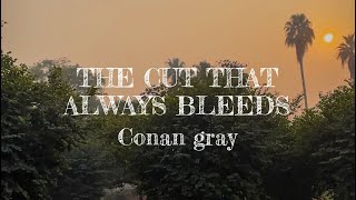 The cut that always bleeds  conan gray cover [upl. by Dlanigger]