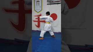 Kihon kata sandan Shorin Ryu kids karatê [upl. by Kirsti]