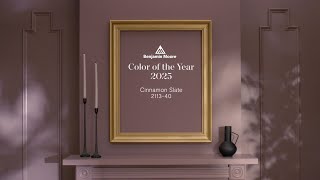 Color of the Year and Color Trends 2025  Cinnamon Slate 211340  Benjamin Moore [upl. by Sallyanne]