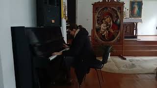 Chopin Mazurka op 33 no 4 [upl. by Tnecniv]