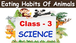 Eating Habits Of Animals  Class  3 CHAPTER 1 Science  CBSE  Herbivores Carnivores Omnivores [upl. by Nerita]