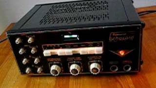 Dynacord Echocord S65 echoes part 3 [upl. by Tresa391]