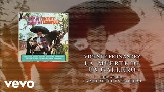 Vicente Fernández  La Muerte de un Gallero Cover Audio [upl. by Minier958]