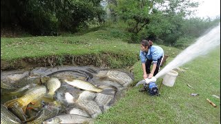 Full Video Fishing Techniques How to Fishing in The Wild Harvesting Many Big Fish  Girl Fishing [upl. by Lorenzana68]