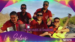 ENGANCHADOS DE CHAMAME 2024  LOS SILVIS [upl. by Aidan606]