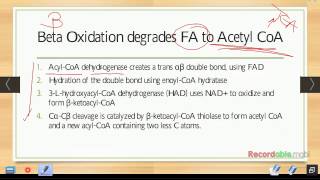 Ch 20  Fatty Acid Catabolism and Ketone Bodies [upl. by Harvie]