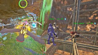 Raiding Rathole with Pelagornis  Ark PvP Phase 3 S1 Episode 8 [upl. by Yerggoeg148]