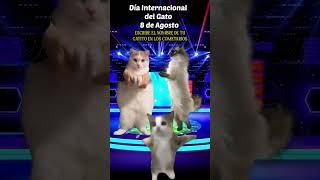 Happy Happy gato meme feliz día todos los michis del mundo catdancing happy greenscreen gree [upl. by Calore472]