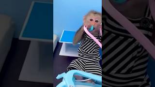 baby monkey doctor part 1 dance giảitrí douyin beautiful beauty funny automobile waterpark [upl. by Poirer86]