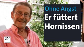 Hornissen als Haustiere I Abendschau I BR24 [upl. by Barnard]