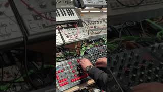 NINA workout with TR909 synthesizer electronicmusic melbourneinstruments nina polysynth tr909 [upl. by Lednik]