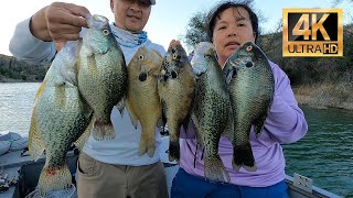 100 Fish Day at Lake Berryessa [upl. by Yeslaehc336]