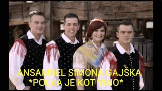 ANSAMBEL SIMONA GAJŠKA  POLKA JE KOT VINO [upl. by Elon715]