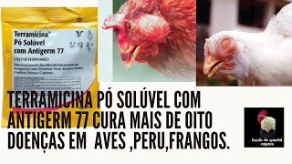 como usar terramicina em pó solúvel com Antigerm 77 em galinhas [upl. by Notgnirrab]