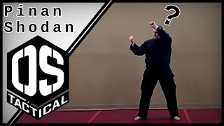 How to do Pinan Shodan Matsumura Seito Shorin Ryu Karate [upl. by Amol]