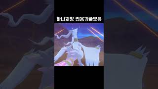 하나지방 전설 전용기술모음1 [upl. by Luapnhoj]