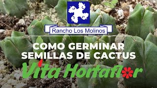 Cómo germinar semillas de cactus [upl. by Barina690]