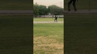 1 over 4 run 😳 cricket cricketlovecricket cricketlover youtubeshorts cricketfan ipl cricketr [upl. by Nawoj]