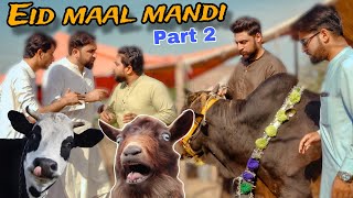 Eid maal mandi Part 2  Pashto funny videos  Zindabad vines 2024 [upl. by Clarine]