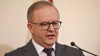 ‘Not normal’ Anthony Albanese’s Qantas relationship ‘does not pass the pub test’ [upl. by Zilada]