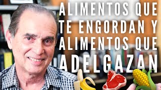 Episodio 34 Alimentos Que Te Engordan Y Alimentos Que Adelgazan [upl. by Sanfo469]