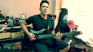 Replica Fear Factory GuitarCover SGR C7 Schecter [upl. by Atwekk]