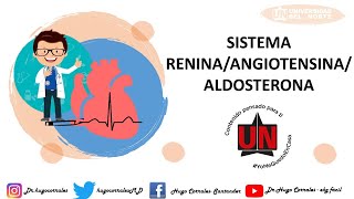 SISTEMA RENINA ANGIOTENSINA ALDOSTERONA FISIOLOGÍA [upl. by Goldshlag]