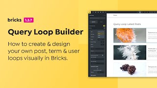 Bricks  Query Loop Builder for Posts Terms Users [upl. by Siuoleoj]