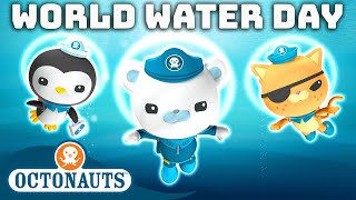 ​Octonauts  🌎💦 World Water Day Special  Compilation  Underwater Sea Education [upl. by Annatnom630]