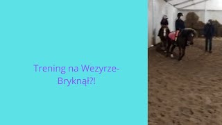 trening na Wezyrze  brykał  151124 r [upl. by Ydnim310]