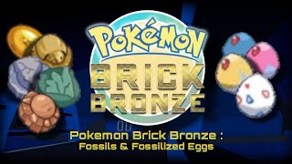 Pokemon Brick Bronze Togepi Togetic Togekiss Fossilized egg Roblox [upl. by Ateiluj]