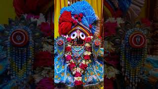 alo mitani khetramani mote karichi guni🚩🚩🚩odisha jayjagannath status subscribe [upl. by Annahsed]