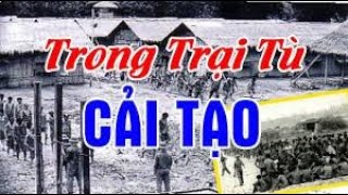 CON CO BAO NGAY St TCS  Trinh bay KY BINH NGHUYEN Van nghe trong phong TU CAI TAO XUYEN MOC [upl. by Bywoods]