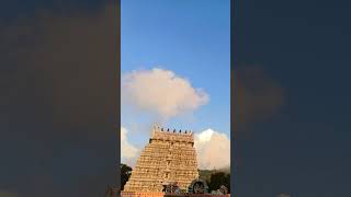 Thiruvanmalai arunachaleswara swani temple view arunachalam thiruvanamalai travel lordshiva [upl. by Hakon]