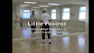 Little Foxtrot Line Dance Teach and Demo [upl. by Shari453]