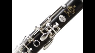 Buffet Crampon Festival Clarinet [upl. by Dahcir]