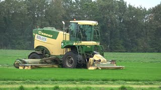 Gras direct op zwad maaien met Krone BigM 450 2023 [upl. by Bernadina]