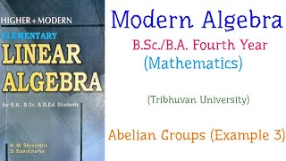 Abelian Groups Example 3  Modern Algebra  BScBA Mathematics Fourth Year TU [upl. by Adnalahs215]