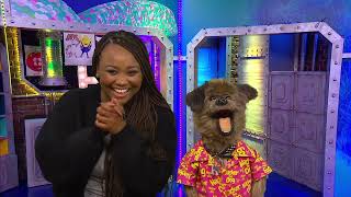 North West Tonight Hacker T Dog celebrates 15 years at CBBC  2952024 [upl. by Amby]